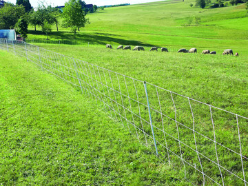 Ab sofort wird Baden-W�rttemberg in der sogenannten �F�rderkulisse Wolfspr�vention� sowohl die Materialkosten f�r Z�une und Zubeh�r als auch Arbeitskosten f�r die Errichtung neuer und die Nachr�stung bestehender Z�une �bernehmen.