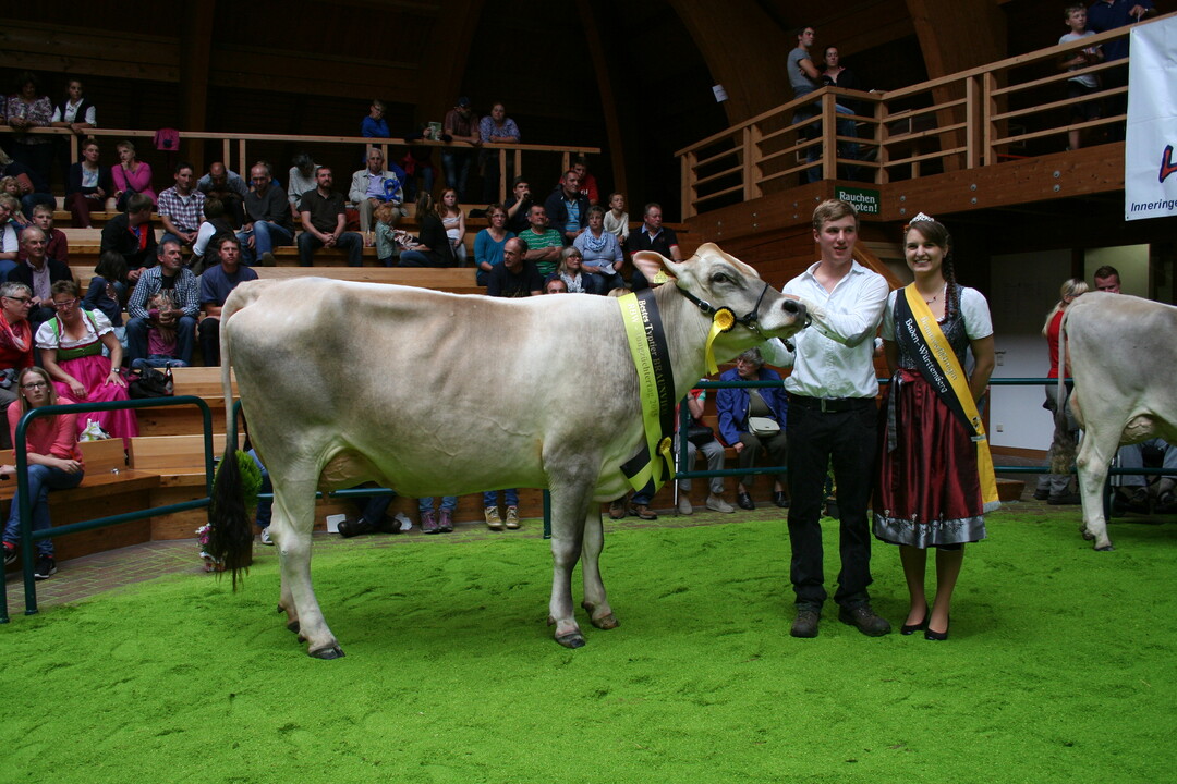 Sieger Typ Braunvieh 