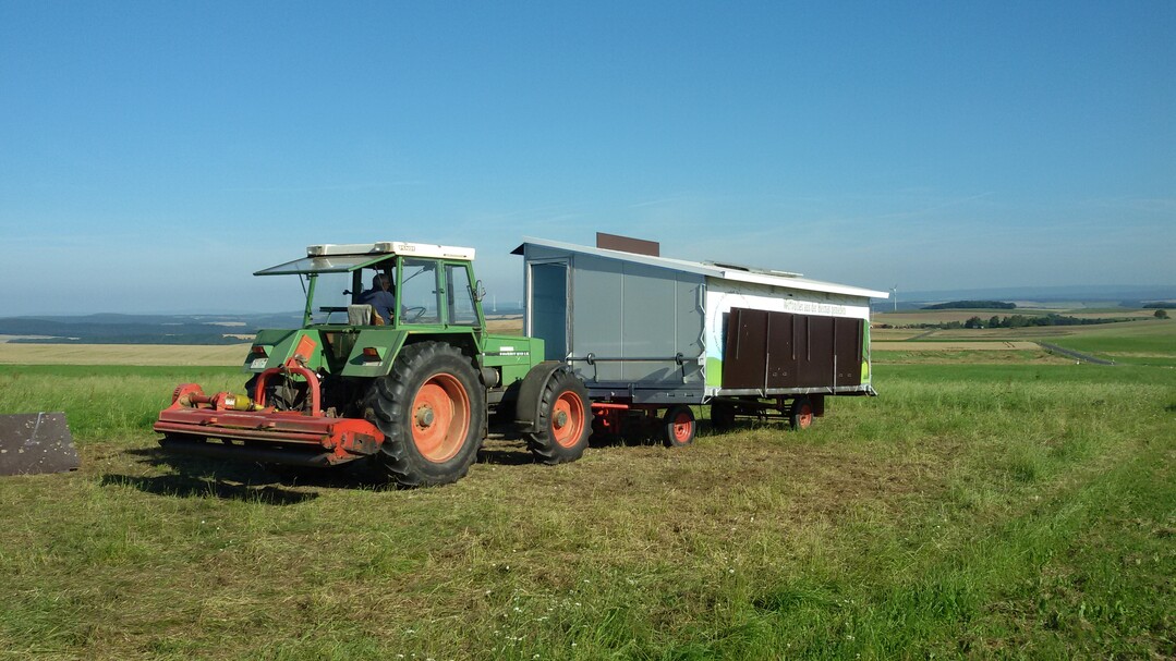 Nicht nur zur Konstruktion, sondern auch zu den Arbeitsabläufen sollte man sich im Vorfeld Gedanken machen. Bei diesem Stall lassen sich die Siebdruckplatten als zusätzlicher Witterungsschutz von einer Person an –und abklappen so wie arretieren.