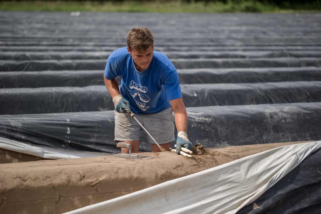 Nutzen Sie gruener-stellenmarkt.de!