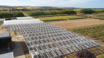 Agri-PV Pilotprojekt in Oedheim in Baden-Württemberg