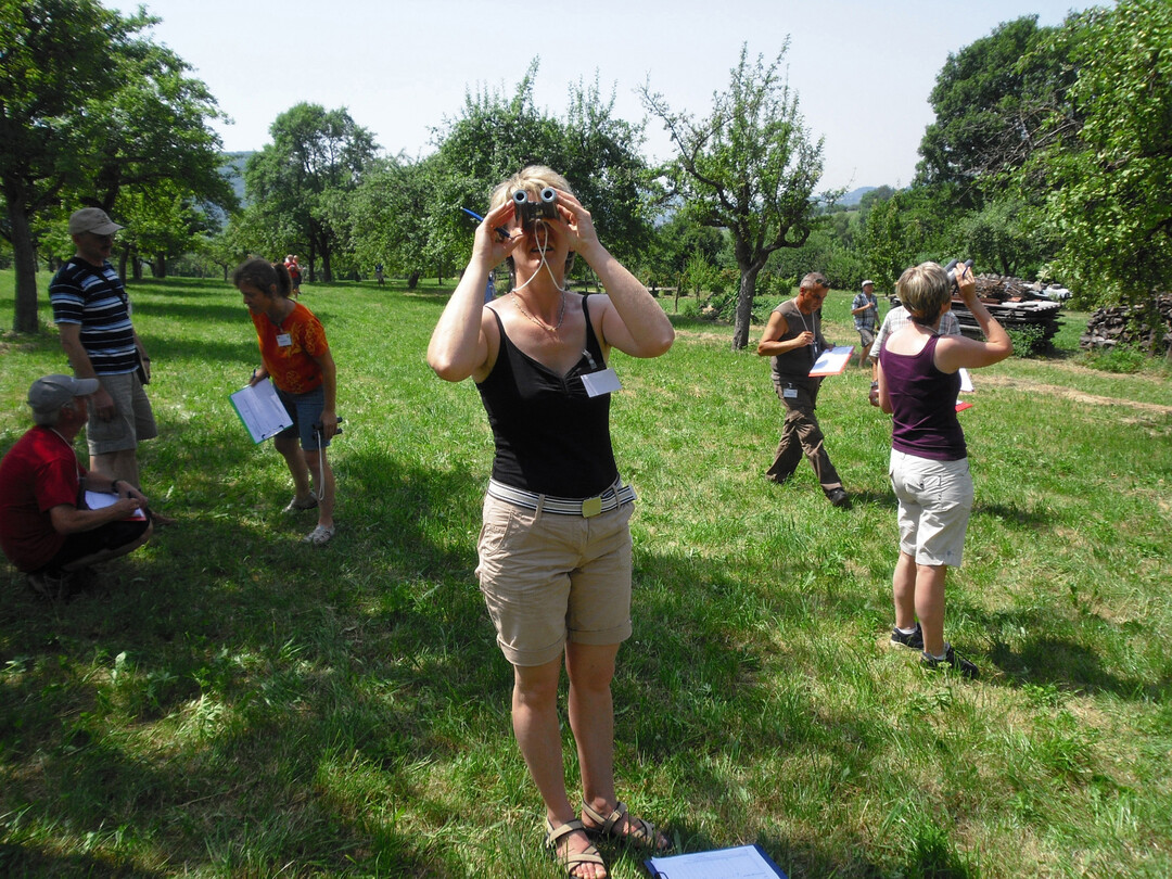 Nach dem Ende der Fruchtbehangschätzung ist der Verband der Fruchtsaftindustrie optimistisch: Es steht eine große Ernte im Streuobstbau ins Haus. Noch ein gewisser Unsicherheitsfaktor ist die Witterung, denn Trockenheit könnte die Fruchtgröße schmälern.