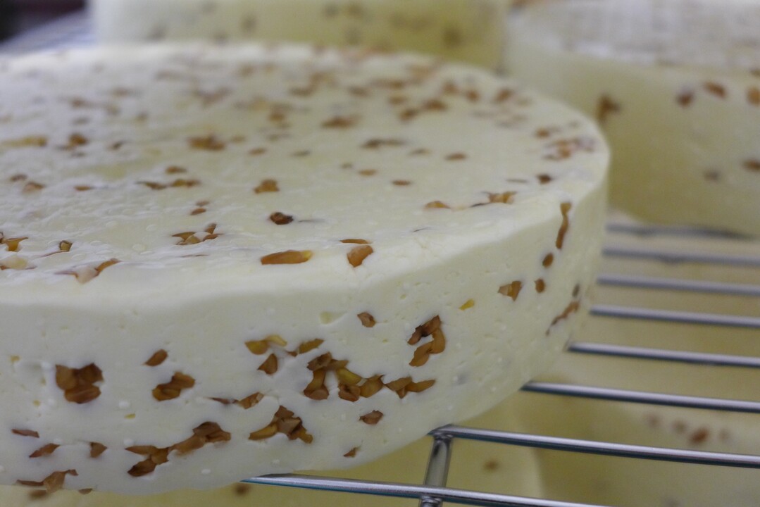 Der Gewinnerk�se �Oberfelder Bocksbert� als ungereifter K�se, kurz nach dem Versch�pfen.