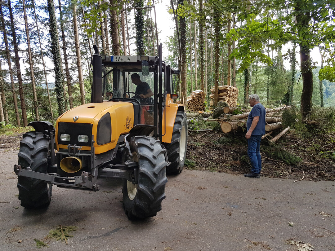 Die aktuelle Waldschutzsituation in Baden-Württemberg ist sehr angespannt. Vielerorts steht jetzt das Aufräumen und Aufarbeiten von Sturmholz an. Der heiße und trockene Frühsommer, lokale Sturmereignisse sowie ein hoher Ausgangsbestand an Borkenkäfern, haben die Waldschäden in fast allen Landesteilen deutlich ansteigen lassen.