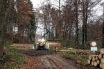 Holzernte im Altdorfer Wald im Landkreis Ravensburg: Die nachhaltige Waldnutzung soll auch künftig die wichtige Rolle spielen, wenngleich je nach Standort weitere Ziele mit Schwerpunkten im Natur- und Landschaftsschutz oder für erneuerbare Energien (Windkraft) hinzukommen werden.