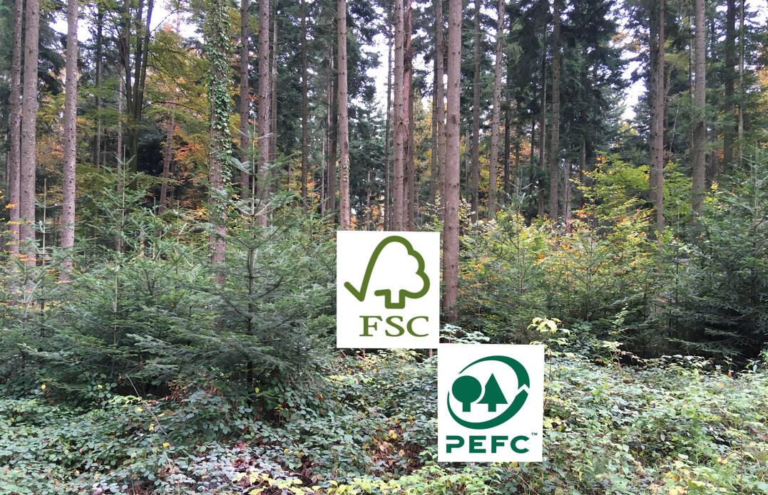 Die einmalige ‚Nachhaltigkeitsprämie Wald‘ können Forstbetriebe erhalten, die ein anerkanntes Waldzertifikat für ihre Flächen besitzen.