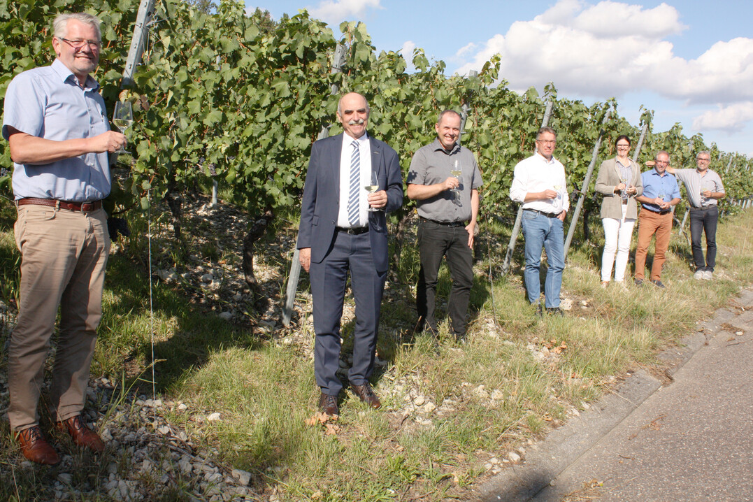 Alois Gerig (l.) setzt sich im Weinberg mit der Kritik der Winzervertreter am Entwurf zum neuen Weingesetz auseinander: v. r. Andreas Oehm, Otto Guthier, Vorsitzender hessische Bergstra�e, Ute Bader, Baden-W�rttembergischer Genossenschaftsverband, Thomas Walz, Vizepr�sident des Badischen Weinbauverbands und des DWV, Hans Albrecht Zieger, Pr�sident des Weinbauverbands Saale-Unstrut und Frankens Weinbaupr�sident Artur Steinmann. 