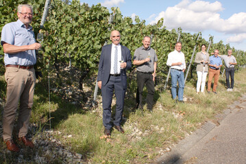 Alois Gerig (l.) setzt sich im Weinberg mit der Kritik der Winzervertreter am Entwurf zum neuen Weingesetz auseinander: v. r. Andreas Oehm, Otto Guthier, Vorsitzender hessische Bergstra�e, Ute Bader, Baden-W�rttembergischer Genossenschaftsverband, Thomas Walz, Vizepr�sident des Badischen Weinbauverbands und des DWV, Hans Albrecht Zieger, Pr�sident des Weinbauverbands Saale-Unstrut und Frankens Weinbaupr�sident Artur Steinmann. 