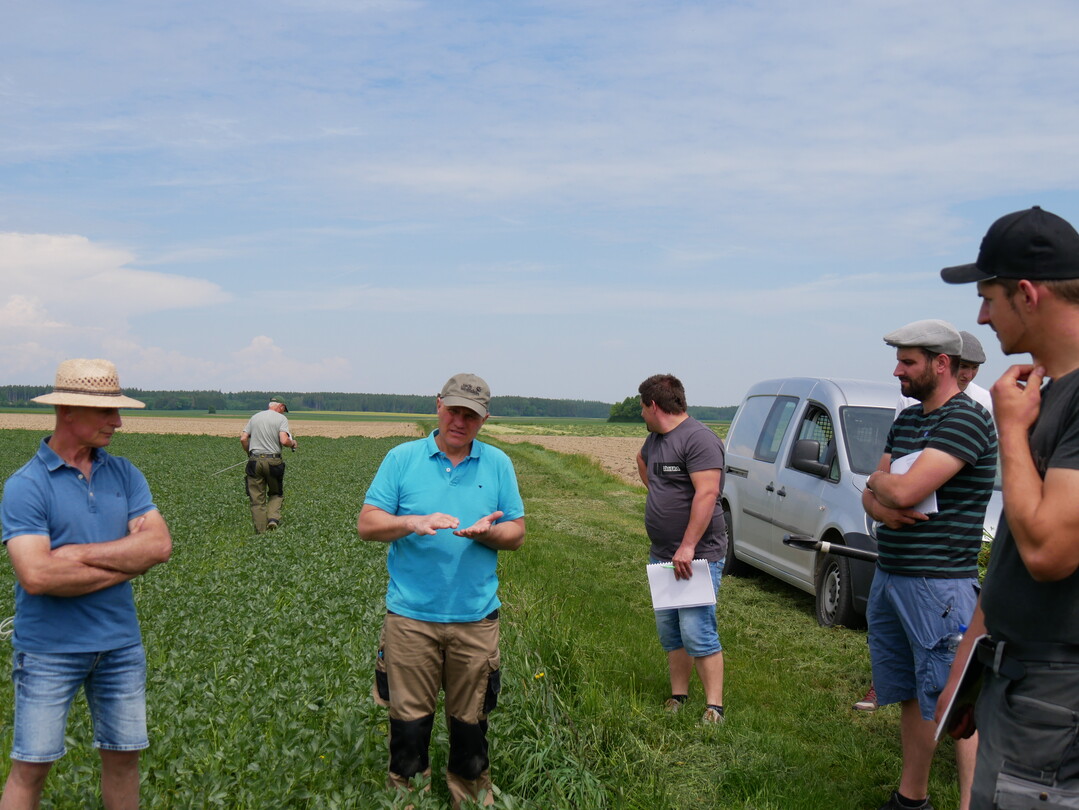 Beim �Bodenkurs im Gr�nen� mit Dietmar N�ser und Friedrich Wenz lernen Landwirt:innen auf einem Betrieb am Lechrain die Prinzipien der Regenerativen Landwirtschaft.