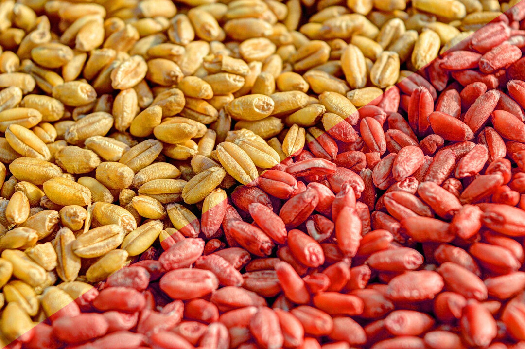 Beizen oder nicht beizen? Hier lesen Sie, welche Mittel verfügbar sind und in welchen Situationen das Beizen ratsam sein kann.