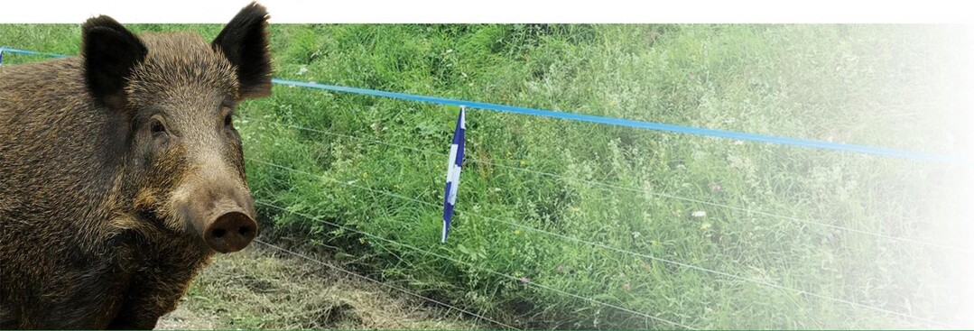 Durch ihre blaue Farbe werden die Wildz�une von Patura gut von Wildtieren wahrgenommen.&nbsp;