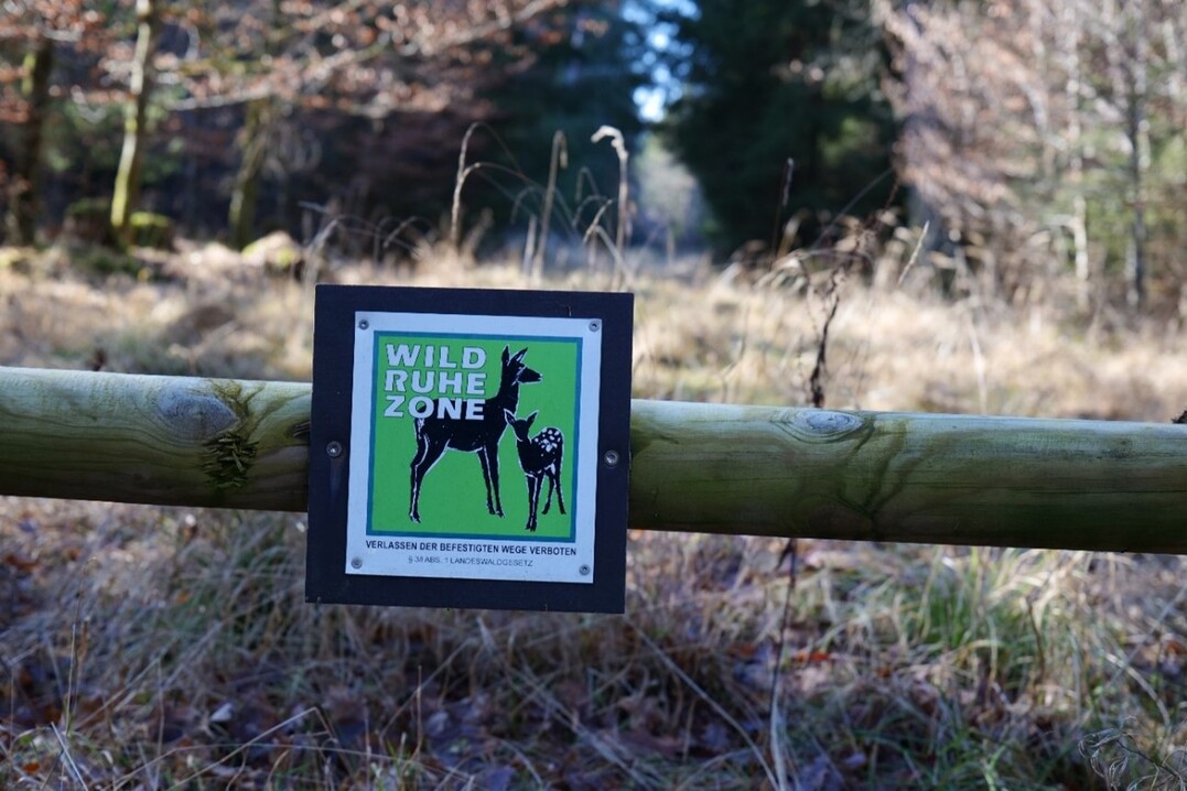 Wildruhezonen sollen Wildtiere vor menschlichen St�rungen sch�tzen. Diese k�nnen auch dabei helfen die Wildsch�den durch Rotwild zu minimieren.