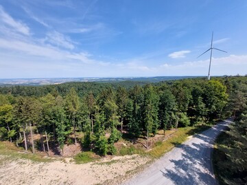 Zwischen 2012 und 2022 hat ForstBW bereits rund 8000 Hektar Potenzialfl�chen verpachtet. Zum aktuellen Zeitpunkt (September 2022) drehen sich auf einem Teil dieser Fl�chen bereits 103 Windenergieanlagen.