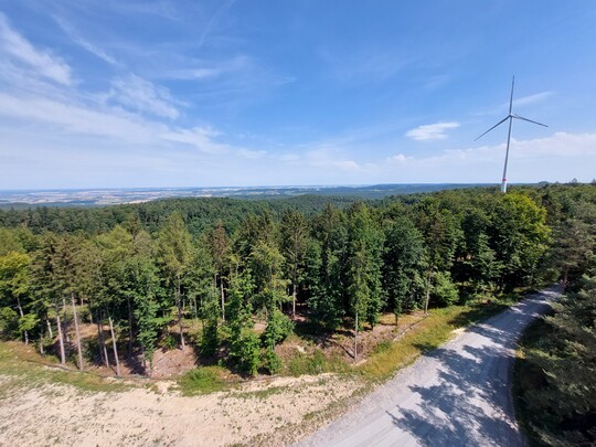 Zwischen 2012 und 2022 hat ForstBW bereits rund 8000 Hektar Potenzialfl�chen verpachtet. Zum aktuellen Zeitpunkt (September 2022) drehen sich auf einem Teil dieser Fl�chen bereits 103 Windenergieanlagen.