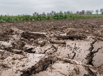 W�gen Sie die jeweiligen Vor- sowie Nachteile der Winterfurche f�r Ihren Betrieb genau ab.