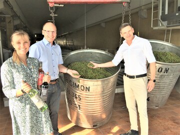 Sie hoffen auf einen guten Jahrgang, v.l. Produktbotschafterin Lea Tritschler, der neue Produktionsvorstand Christian Schätzle und der geschäftsführende Vorstand André Weltz an der Traubenannahmestation.