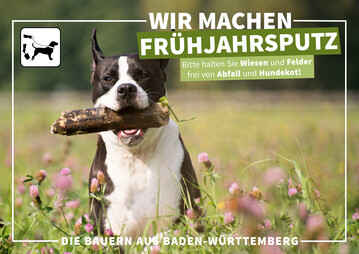 Das Motiv der Kampagne "Wir machen Fr�hjahrsputz".