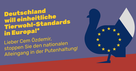 Der� ZDG hat eine Anzeigenkampagne gestartet. Darin fordert der Verband den Landwirtschaftsminister dazu auf, sich f�r EU-weit geltende Haltungsstandards in der Putenhaltung einzusetzen.