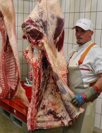 Beeindruckend: Bei der Schauzerlegung.