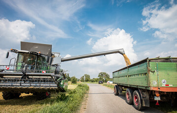 Getreideernte in S�dbaden: Besonders dramatisch sind die Ertragsr�ckg�nge beim Weizen.