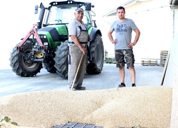 Im ZG-Gebiet sind rund drei Viertel der Getreideernte von guter Qualit�t. 