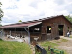 Der Stall für die Saanen-Ziegen.