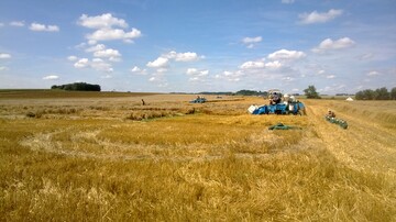 Zuchtgarten in Feldkirchen